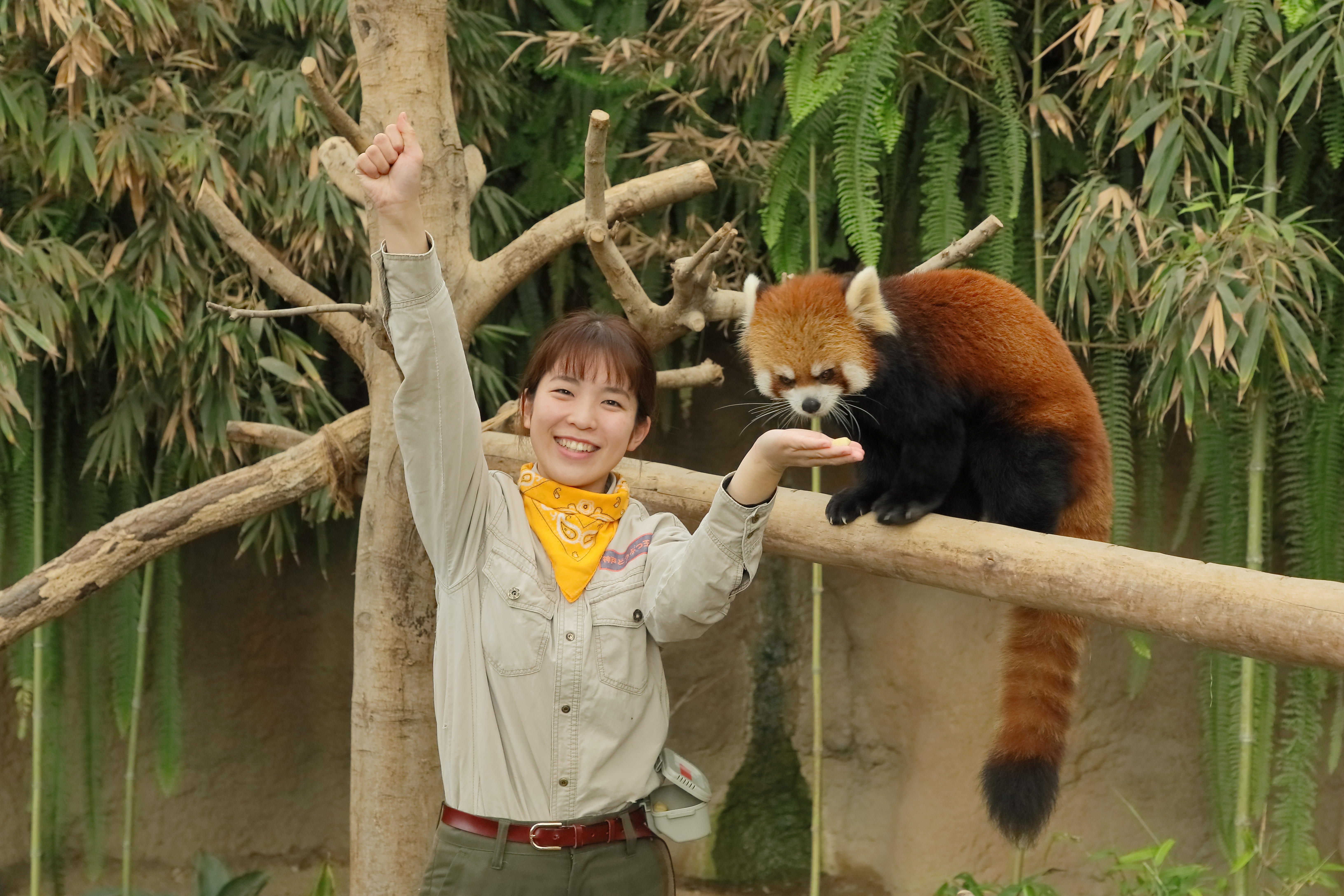 レッサートーク